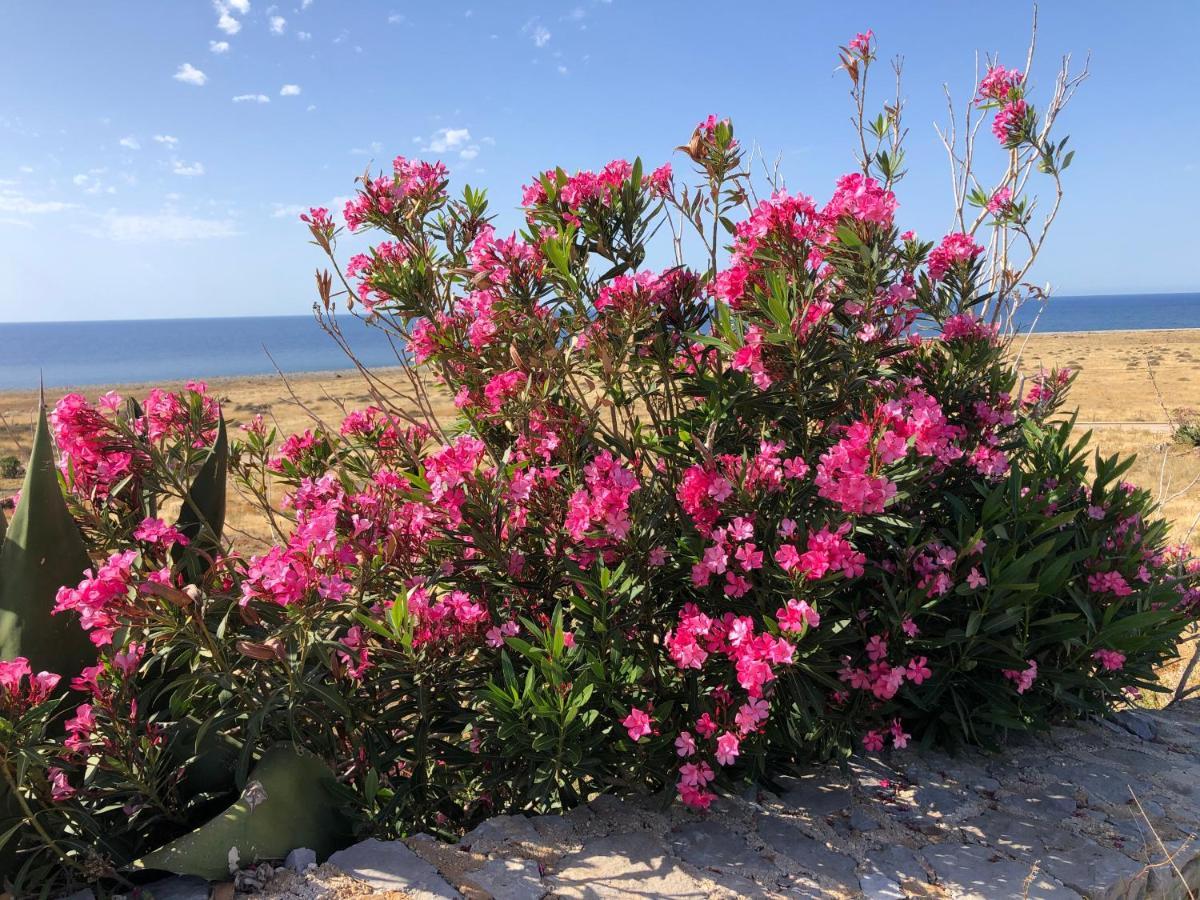 Casetta Calamancina 산비토로카포 외부 사진